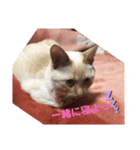 ひな♡かまちょ照（個別スタンプ：3）