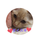 ひな♡かまちょ照（個別スタンプ：5）