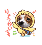 パピヨンのマロンちゃん2（個別スタンプ：5）