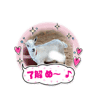 Horse meeee（個別スタンプ：2）