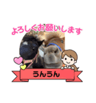 Horse meeee（個別スタンプ：3）