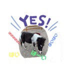 Horse meeee（個別スタンプ：4）