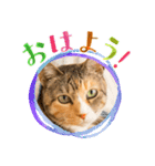 ミーコとべーやん（個別スタンプ：5）