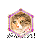 ミーコとべーやん（個別スタンプ：7）