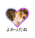 ミーコとべーやん（個別スタンプ：8）