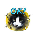 猫こむぎこはく（個別スタンプ：7）