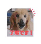 中野レオ 18才（個別スタンプ：10）