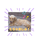 中野レオ 18才（個別スタンプ：11）