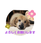中野レオ 18才（個別スタンプ：13）