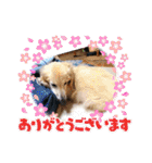 中野レオ 18才（個別スタンプ：16）