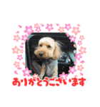 ふうまくん01（個別スタンプ：1）