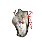 チャミ様（個別スタンプ：1）