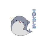 さめとしゃち（個別スタンプ：1）