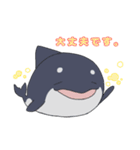 さめとしゃち（個別スタンプ：4）