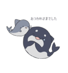 さめとしゃち（個別スタンプ：17）