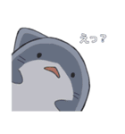 さめとしゃち（個別スタンプ：23）