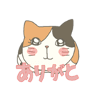 うちのねこ様スタンプ（個別スタンプ：8）