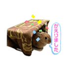ペーモちゃんのスタンプ2（個別スタンプ：5）