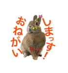 ペーモちゃんのスタンプ2（個別スタンプ：8）