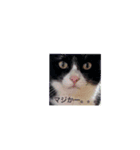 クロおぢさん (Kuro Ojisan)（個別スタンプ：2）
