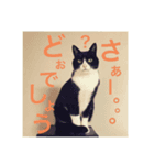 クロおぢさん (Kuro Ojisan)（個別スタンプ：3）