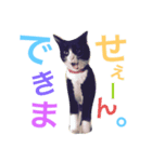 クロおぢさん (Kuro Ojisan)（個別スタンプ：4）