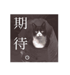 クロおぢさん (Kuro Ojisan)（個別スタンプ：6）
