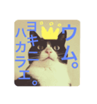 クロおぢさん (Kuro Ojisan)（個別スタンプ：8）