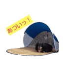 ロッキー＆ランボー（個別スタンプ：4）