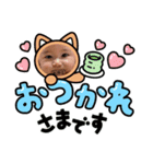 dandan@（個別スタンプ：1）