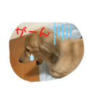 るぅーしぇ（個別スタンプ：3）