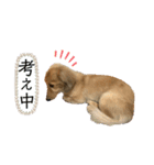 るぅーしぇ（個別スタンプ：5）