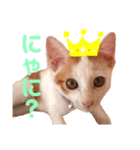 茶白ネコチャンズ（個別スタンプ：4）