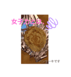 沼のスタンプ( ・∇・)（個別スタンプ：17）