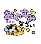 KOHAKU  KOMUGI0401（個別スタンプ：1）