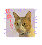 伍助です。（個別スタンプ：4）