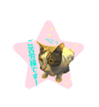 伍助です。（個別スタンプ：5）
