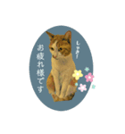 伍助です。（個別スタンプ：7）