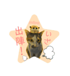 伍助です。（個別スタンプ：8）