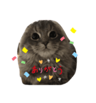 ゴマかわいいスタンプ（個別スタンプ：3）