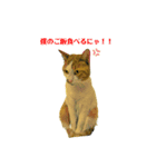 ごすけです。（個別スタンプ：7）