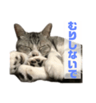 ぺぺさんより…お大事に…（個別スタンプ：2）