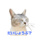 ぺぺさんより…お大事に…（個別スタンプ：4）