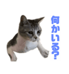 ぺぺさんより…お大事に…（個別スタンプ：5）