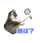 ぺぺさんより…お大事に…（個別スタンプ：6）