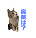 ぺぺさんより…お大事に…（個別スタンプ：7）