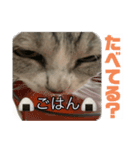 ぺぺさんより…お大事に…（個別スタンプ：8）
