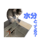 ぺぺさんより…お大事に…（個別スタンプ：9）