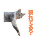 ぺぺさんより…お大事に…（個別スタンプ：12）
