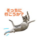 ぺぺさんより…お大事に…（個別スタンプ：13）